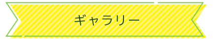 ギャラリー