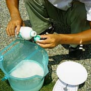 写真13．殺虫剤を計量します