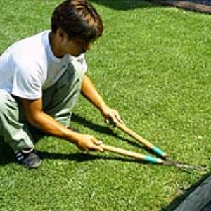 写真2．刈り込みバサミ