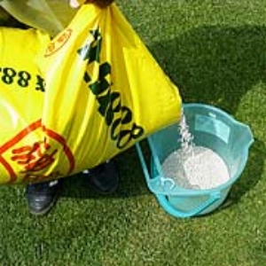 写真８．バケツに肥料を移します