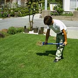 写真21．5cm間隔位が目安です