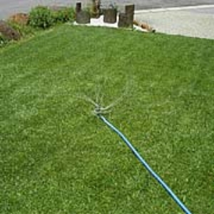 写真21．5cm間隔位が目安です