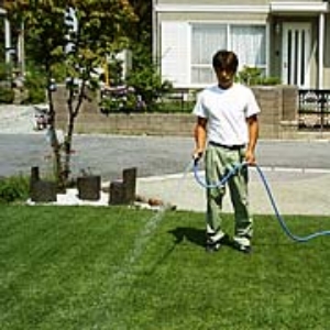 写真21．5cm間隔位が目安です