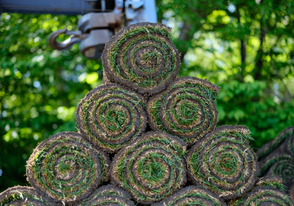 ソッド(切り芝)