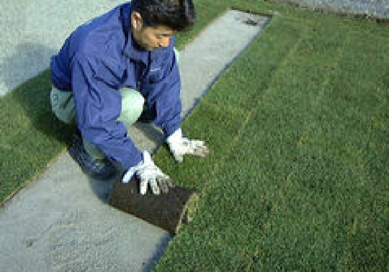 隙間なくソッドを張って行きます