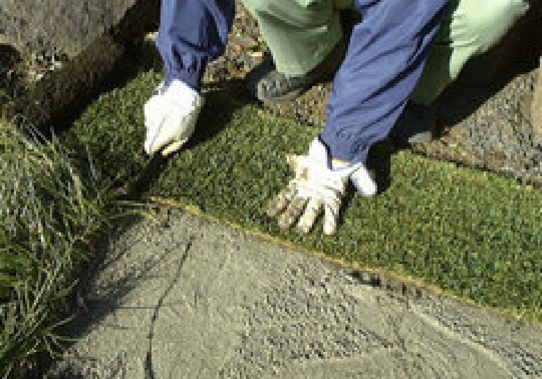 端は包丁で切り揃えます