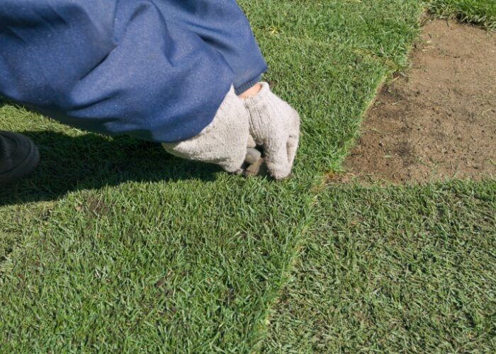 張り芝手順のご紹介