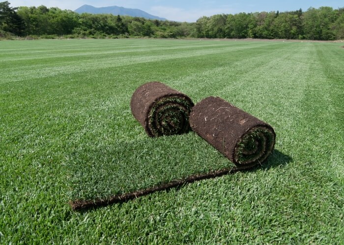 よくいただくご質問